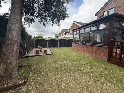 Picture 19